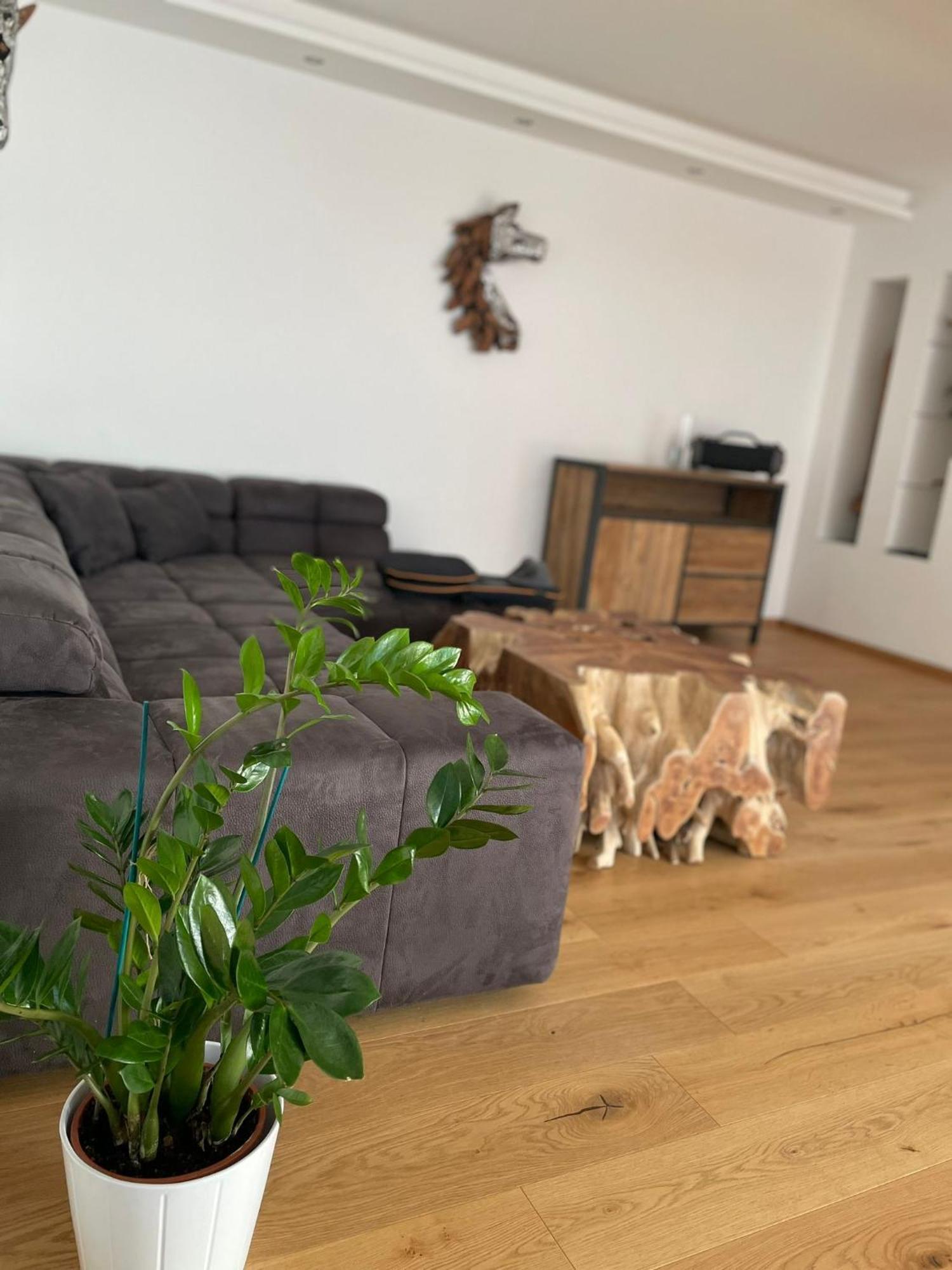 Appartement Lina&Lejs グレーブミング エクステリア 写真